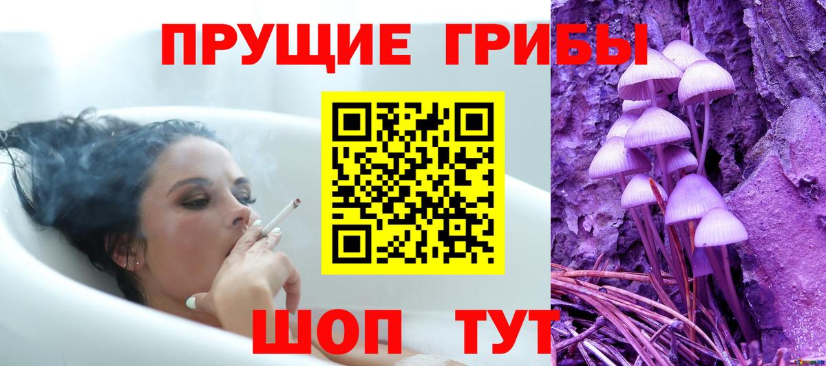 Галлюциногенные грибы Psilocybe Вольск